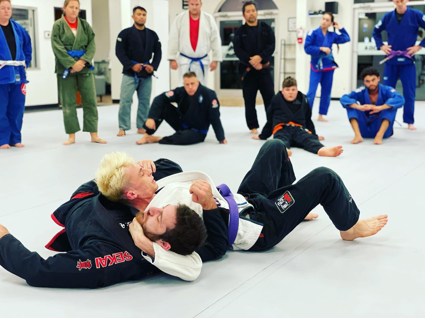 Why Choose Insight BJJ? Martial Arts Somerset, KY Brazilian Jiu Jitsu